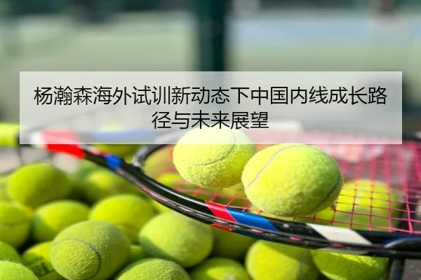 杨瀚森海外试训新动态下中国内线成长路径与未来展望