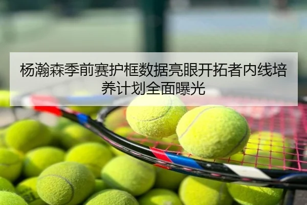 杨瀚森季前赛护框数据亮眼开拓者内线培养计划全面曝光